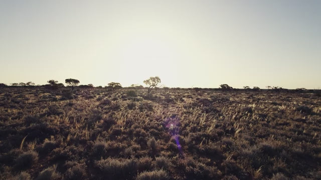 Cargar video: 